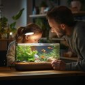 Kruger Meier Velluto S-Line Black - lampa LED do akwarium 10l - 40l Kruger Meier Kruger Meier Velluto S-Line Black - lampa LED do akwarium 10l - 40l Kruger Meier