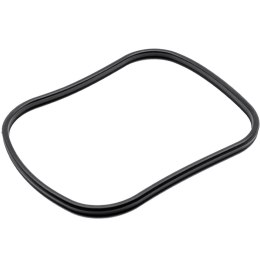 Oase Main Gasket for BioMaster & BioMaster Thermo - uszczelka pokrywy OASE