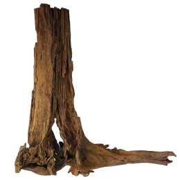 Philippines Classic Driftwood - drzewo mangrowca z wody XXL 70cm - 110cm Terrario
