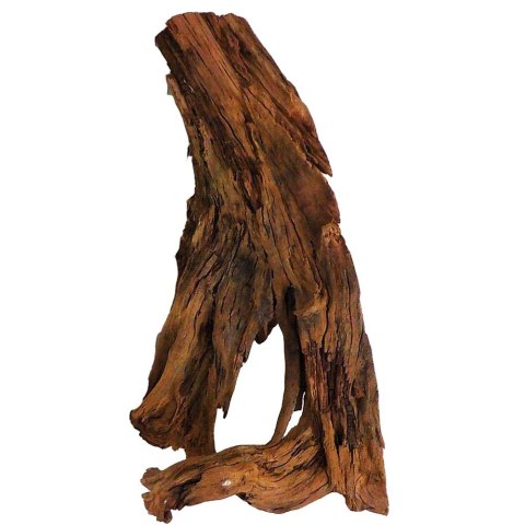 Philippines Classic Driftwood - drzewo mangrowca z wody XXL 70cm - 110cm Terrario Philippines Classic Driftwood - drzewo mangrowca z wody XXL 70cm - 110cm Terrario