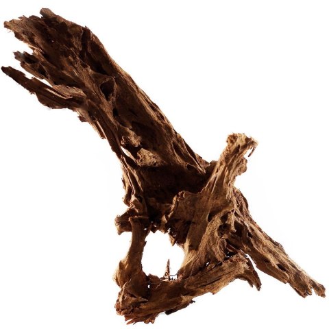 Philippines Classic Driftwood - drzewo mangrowca z wody XXL 70cm - 110cm Terrario Philippines Classic Driftwood - drzewo mangrowca z wody XXL 70cm - 110cm Terrario