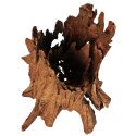 Philippines Classic Driftwood - drzewo mangrowca z wody XXL 70cm - 110cm Terrario Philippines Classic Driftwood - drzewo mangrowca z wody XXL 70cm - 110cm Terrario