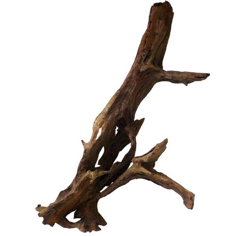 Philippines Classic Driftwood - drzewo mangrowca z wody XXL 70cm - 110cm Terrario Philippines Classic Driftwood - drzewo mangrowca z wody XXL 70cm - 110cm Terrario