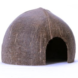 Terrario CocoCave L - połówka kokos gładki Terrario