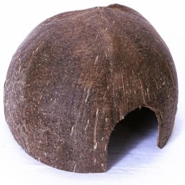 Terrario CocoCave L - połówka kokos gładki Terrario