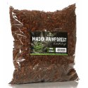 Terrario Madidi Rainforest 5l 500g - drobne zrębki kokosa Terrario Terrario Madidi Rainforest 5l 500g - drobne zrębki kokosa Terrario