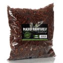 Terrario Madidi Rainforest 5l 500g - drobne zrębki kokosa Terrario Terrario Madidi Rainforest 5l 500g - drobne zrębki kokosa Terrario