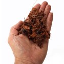Terrario Madidi Rainforest 5l 500g - drobne zrębki kokosa Terrario Terrario Madidi Rainforest 5l 500g - drobne zrębki kokosa Terrario