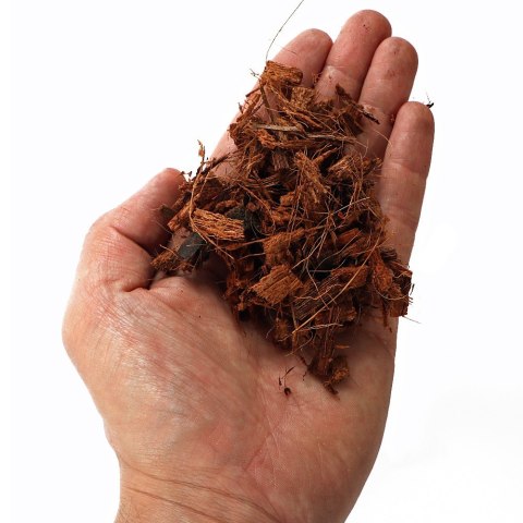 Terrario Madidi Rainforest 5l 500g - drobne zrębki kokosa Terrario Terrario Madidi Rainforest 5l 500g - drobne zrębki kokosa Terrario