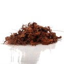 Terrario Madidi Rainforest 5l 500g - drobne zrębki kokosa Terrario Terrario Madidi Rainforest 5l 500g - drobne zrębki kokosa Terrario