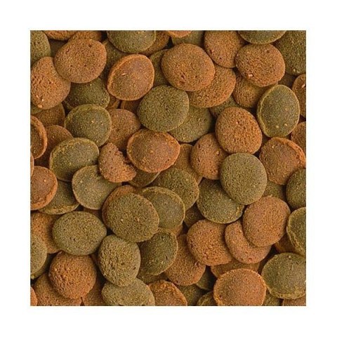 Tetra Wafer Mix 15g - pokarm dla ryb dennych Tetra Tetra Wafer Mix 15g - pokarm dla ryb dennych Tetra