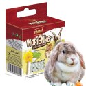 Vitapol - kostka wapienna dla gryzoni Mniszek lekarski Vitapol Vitapol - kostka wapienna dla gryzoni Mniszek lekarski Vitapol