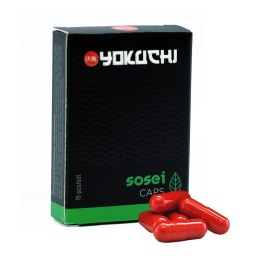 YOKUCHI SOSEI CAPS - nawóz do podłoża - 15sztuk YOKUCHI