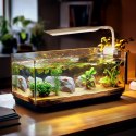 Kruger Meier VitaBeam V - lampa LED 8W do akwarium 10l - 40l Kruger Meier Kruger Meier VitaBeam V - lampa LED 8W do akwarium 10l - 40l Kruger Meier