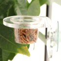 Terrario Gecko Bar Dish - miseczka zapasowa 30ml Terrario Terrario Gecko Bar Dish - miseczka zapasowa 30ml Terrario