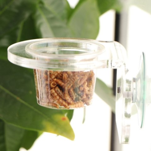 Terrario Gecko Bar Dish - miseczka zapasowa 30ml Terrario Terrario Gecko Bar Dish - miseczka zapasowa 30ml Terrario