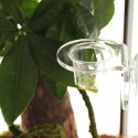 Terrario Gecko Bar Dish - miseczka zapasowa 30ml Terrario Terrario Gecko Bar Dish - miseczka zapasowa 30ml Terrario
