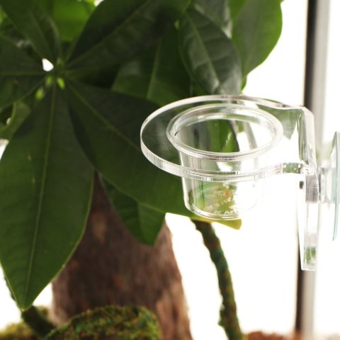 Terrario Gecko Bar Dish - miseczka zapasowa 30ml Terrario Terrario Gecko Bar Dish - miseczka zapasowa 30ml Terrario