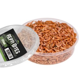 Terrario Repti Bites Gammarus 125ml - kiełż zdrojowy suszony Terrario