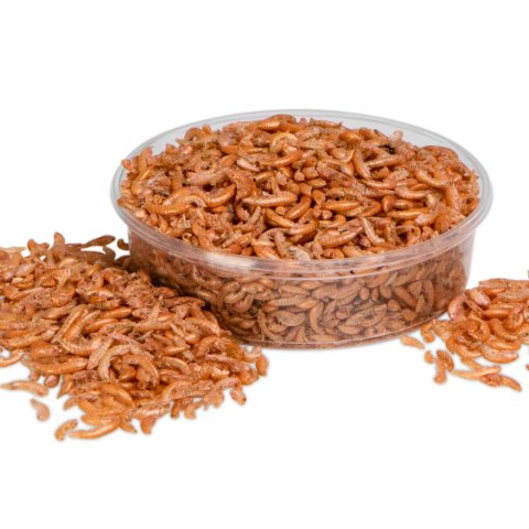 Terrario Repti Bites Gammarus 125ml - kiełż zdrojowy suszony Terrario Terrario Repti Bites Gammarus 125ml - kiełż zdrojowy suszony Terrario